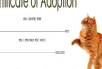 Cat Adoption Certificate Template 2 | Paddle Certificate inside Puppy Birth Certificate Free Printable 8 Ideas