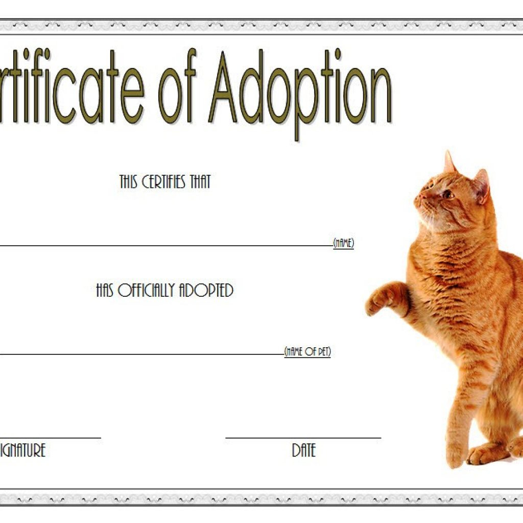 Cat Adoption Certificate Template 2 | Paddle Certificate inside Puppy Birth Certificate Free Printable 8 Ideas