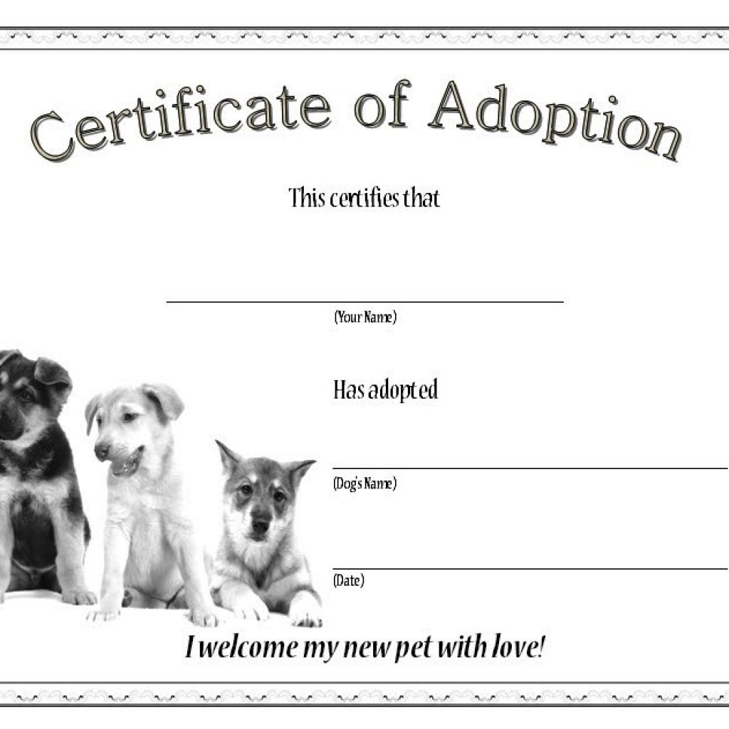 Dog Adoption Certificate Template Free: 2020 Best Ideas with regard to Amazing Pet Adoption Certificate Template