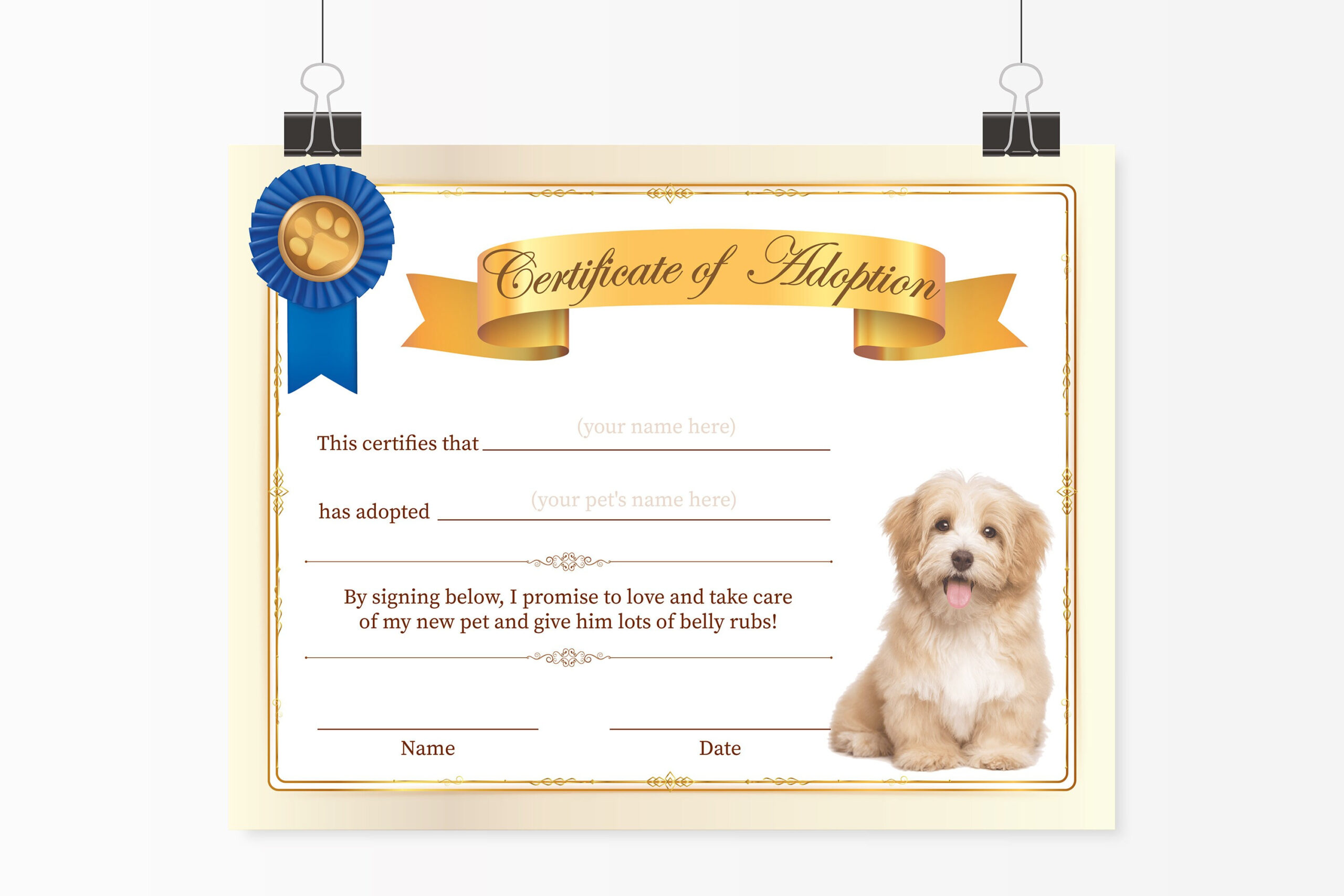 Dog Adoption Certificate Template Puppy Adoption Certificate | Etsy throughout Amazing Pet Adoption Certificate Template