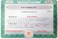 Llc Membership Certificate Template Word – Creative Template Inspiration for Llc Membership Certificate Template