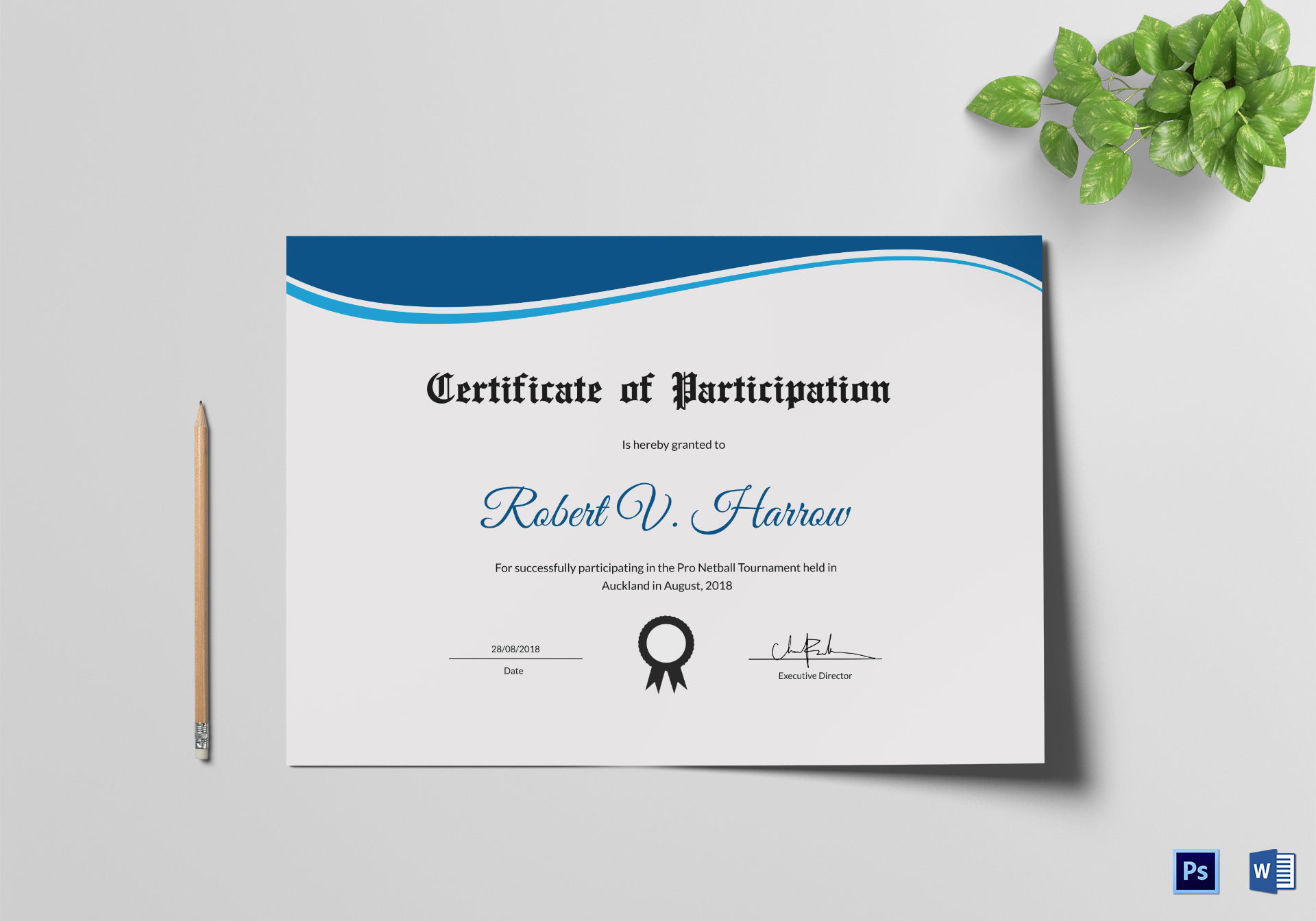 Netball Participation Certificate Design Template In Psd, Word with Netball Certificate