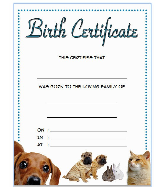 Pet Birth Certificate Templates Fillable [7+ Best Designs Free] with regard to Pet Birth Certificate Template