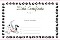 4 Blank Build A Bear Birth Certificate Template 95672 | Fabtemplatez within Fresh Fillable Birth Certificate Template