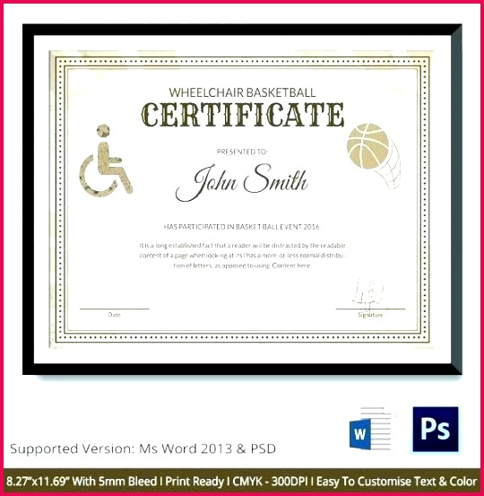 7 Sports Certificate Templates Netball 73504 | Fabtemplatez within Free Softball Certificates Printable 7 Designs