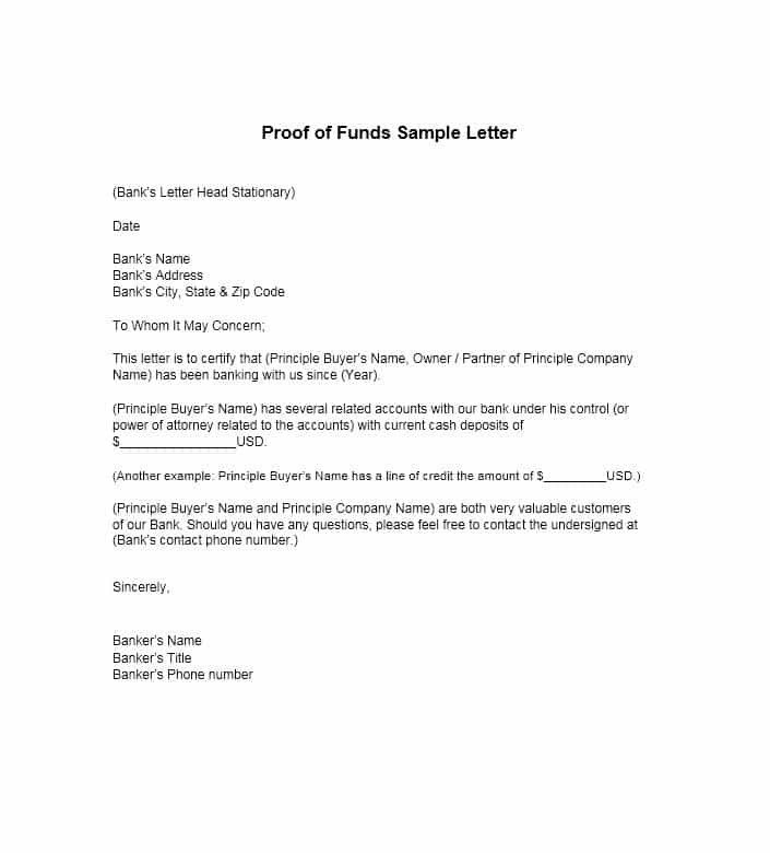 Access To Funds Letter Beautiful 25 Best Proof Of Funds Letter intended for Fundraising Case Statement Template