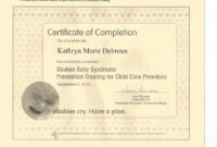 Artifact: Sudden Infant Death Syndrome & Shaken Baby Syndrome – Katy in Baby Death Certificate Template