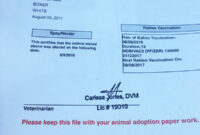 Buddy Passport – Saki 12330 pertaining to Dog Vaccination Certificate Template