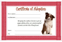 Cat Adoption Certificate Free Printable / Kitty Adoption Kitty Cat inside Cat Adoption Certificate Templates