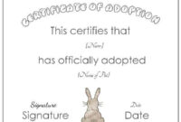 Cerificate Templates: Rabbit Birth Certificate Template within Stuffed Animal Birth Certificate Template 7 Ideas