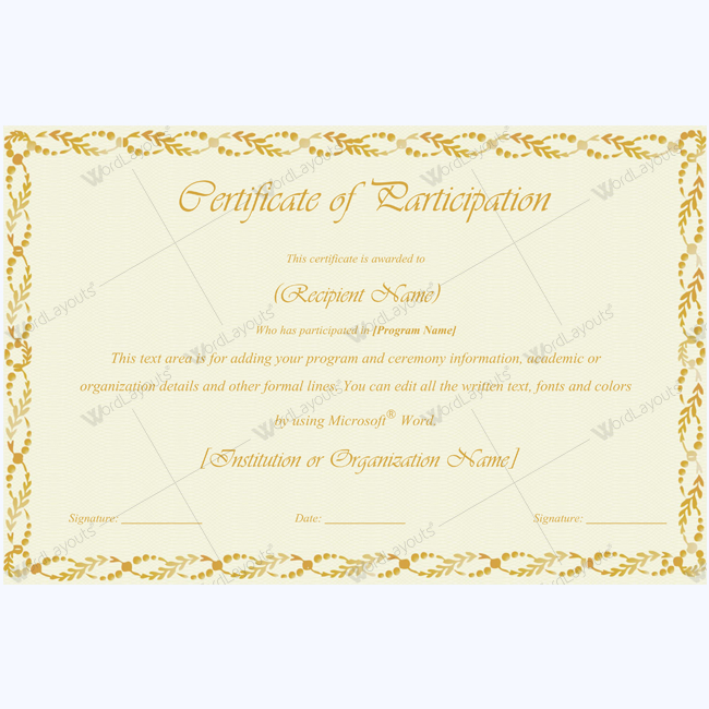 Certificate Of Participation 13 - Word Layouts | Certificate Of within Certificate Of Participation Template Word