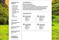 Classic Resume – Professional Resume Template For Word & Pages – 2 in Band Rider Contract Template