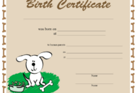 Dog Birth Certificate Printable Certificate with Pet Birth Certificate Templates Fillable