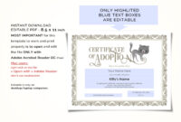 Editable Certificate Of Cat Adoption Template Printable Pet | Etsy intended for New Cat Adoption Certificate Template