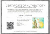 Everything You Need To Know About Coa + Certificate Of With Certificate pertaining to Photography Certificate Of Authenticity Template