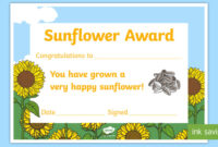 👉 Sunflower Award Certificate (Teacher Made) with regard to Good Behaviour Certificate Template 7 Kids Awards