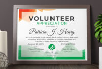 Girl Scout Volunteer Appreciation Certificate Printable Pdf - Etsy in Outstanding Volunteer Certificate Template