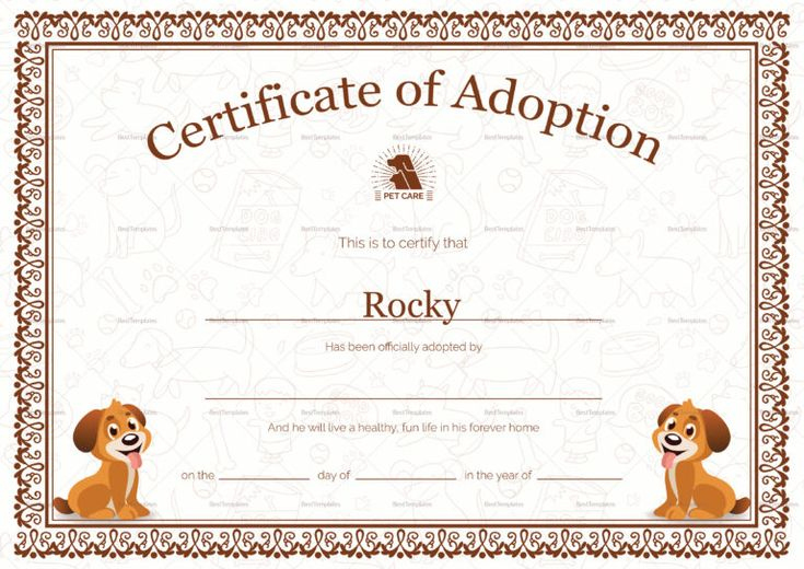 Kitten Adoption Certificate With Toy Adoption Certificate Template In with regard to Fantastic Toy Adoption Certificate Template