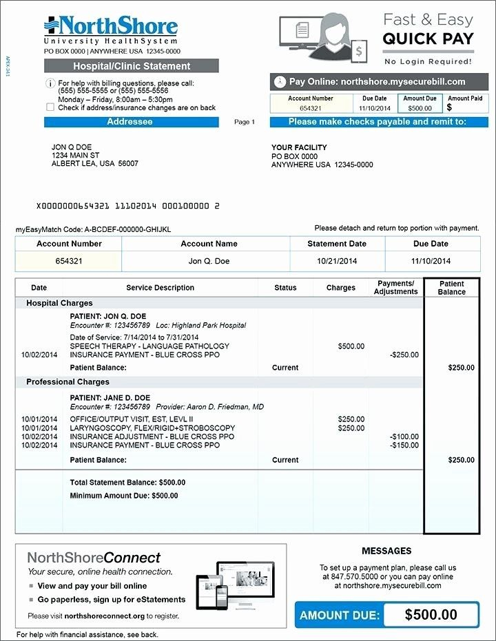 Medical Bill Statement Template Unique Medical Fice Payment Plan intended for Patient Statement Template