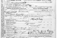 My Ancestors And Me: Sophia (Meinzen) Kropp&amp;#039;S 1920 Ohio Death Certificate for New Blank Death Certificate Template 7 Documents