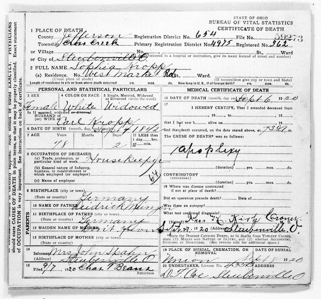 My Ancestors And Me: Sophia (Meinzen) Kropp'S 1920 Ohio Death Certificate for New Blank Death Certificate Template 7 Documents