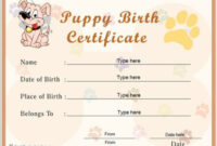 Quality Rabbit Adoption Certificate Template 6 Ideas Free In 2021 intended for Rabbit Adoption Certificate Template 6 Ideas Free