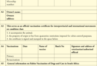 Rabies Vaccination Certificate – Colona.rsd7 Within Rabies Vaccine regarding Certificate Of Vaccination Template