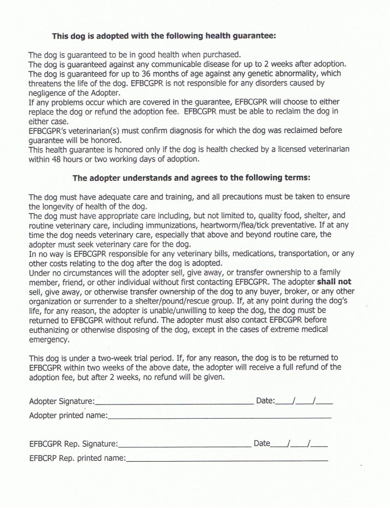 Rescues with regard to Pet Adoption Contract Template