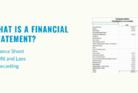 What Is A Financial Statement? | Examples, Free Templates for Startup Financial Statement Template